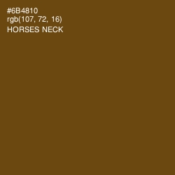 #6B4810 - Horses Neck Color Image